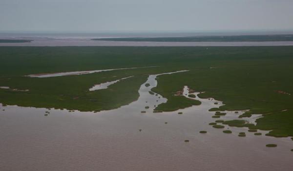 三角洲行动信誉查询入口(三角洲行动信誉查询网站是什么?) 三角洲行动信誉查询入口(三角洲行动信誉查询网站是什么?)